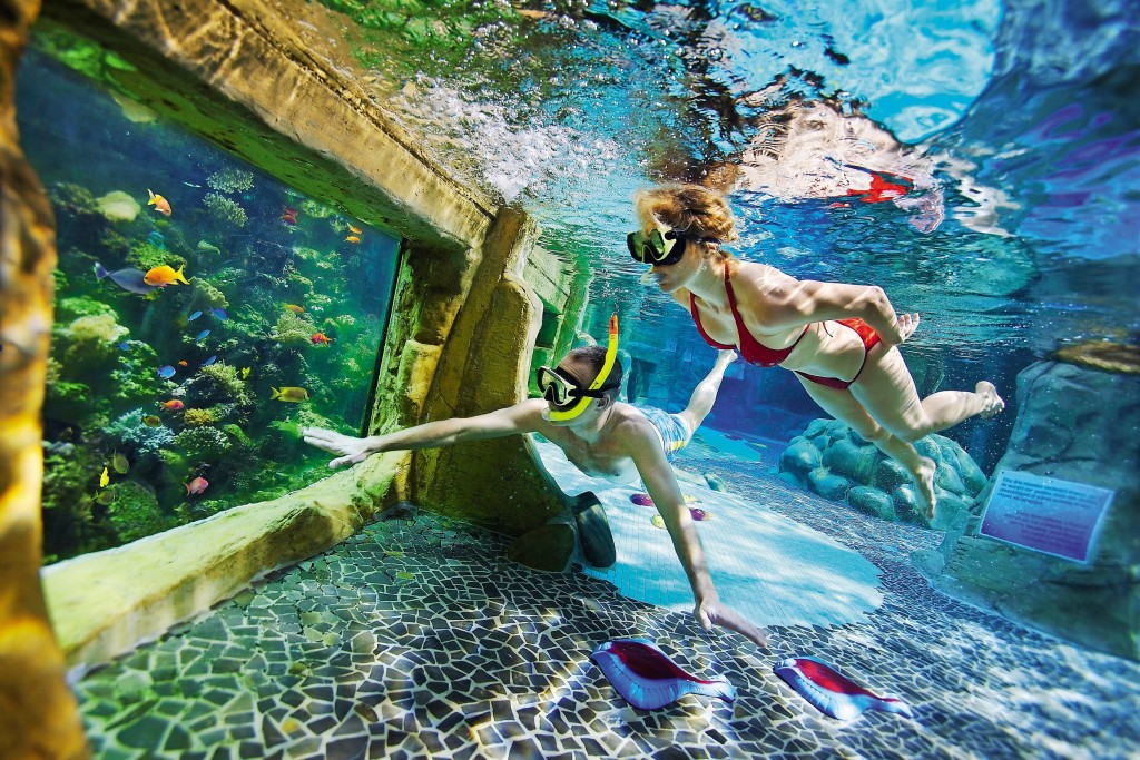 Vakantiepark met subtropisch zwembad - Holland